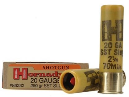 Hornady 20ga 250Gr FTX