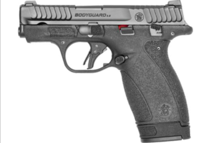 S&W Bodyguard 2.0 .380ACP, 10/12 round Mags, Black