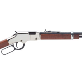 Henry Golden Boy Silver 22LR