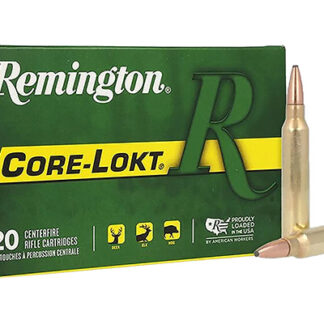 Remington 300 WIN-MAG, 150gr, Core-Lokt PSP
